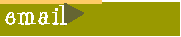 email.GIF (430 bytes)